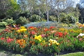 22 04_Regents Park_2280